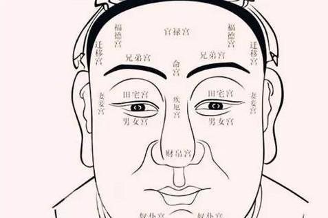 有一定道理_面相_生活_命运