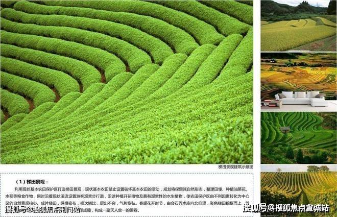 安吉云山境云山境售楼处楼盘详情云山境房价户型图云山境售楼处欢迎您