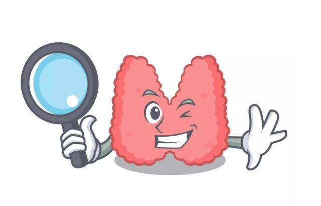 一文讲清_甲状腺_心脏_功能