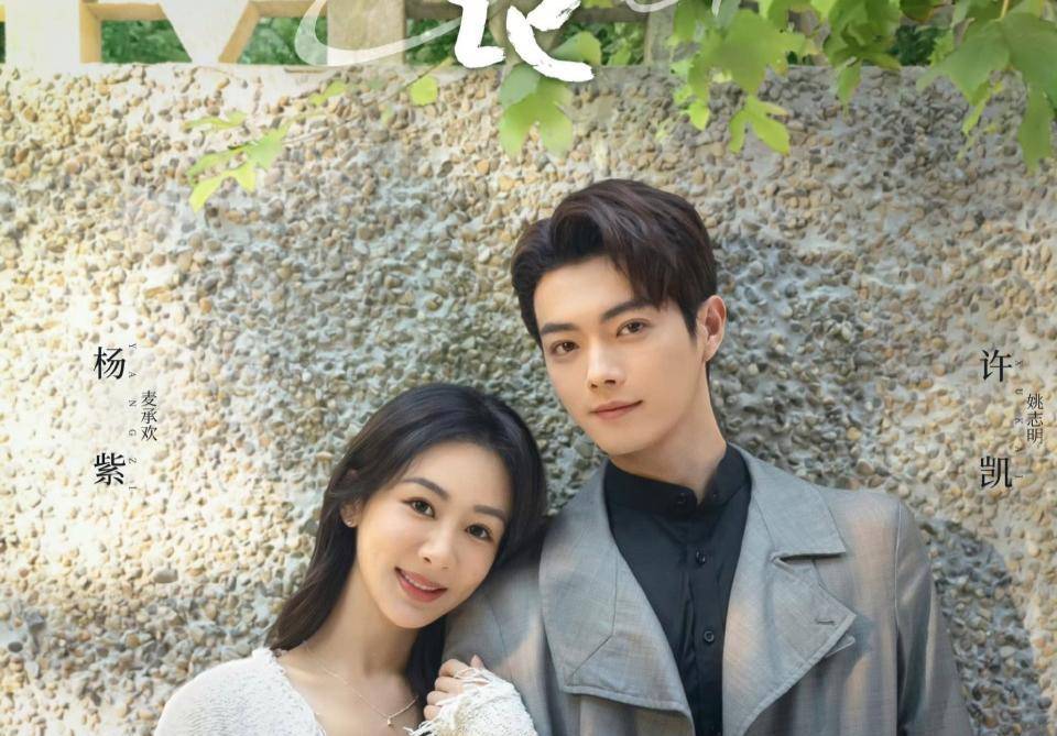 和《承欢记》各看四集,一部已弃剧,一部追上瘾_杨紫和_剧中_白宇凡