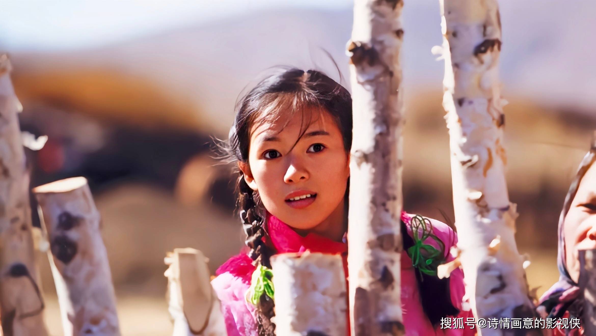 盘点十部农村题材电影,诠释人性之美