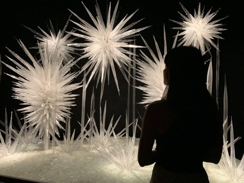 专访3d艺术家武美合现实与想象的交织