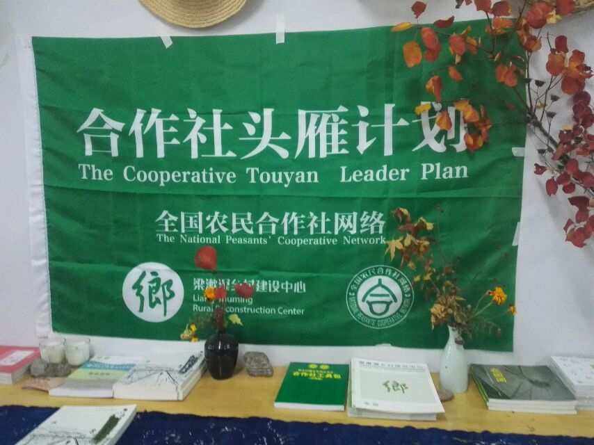 我的经历138退而不休活得有意思有意义64参加梁漱溟乡建61头雁计划4