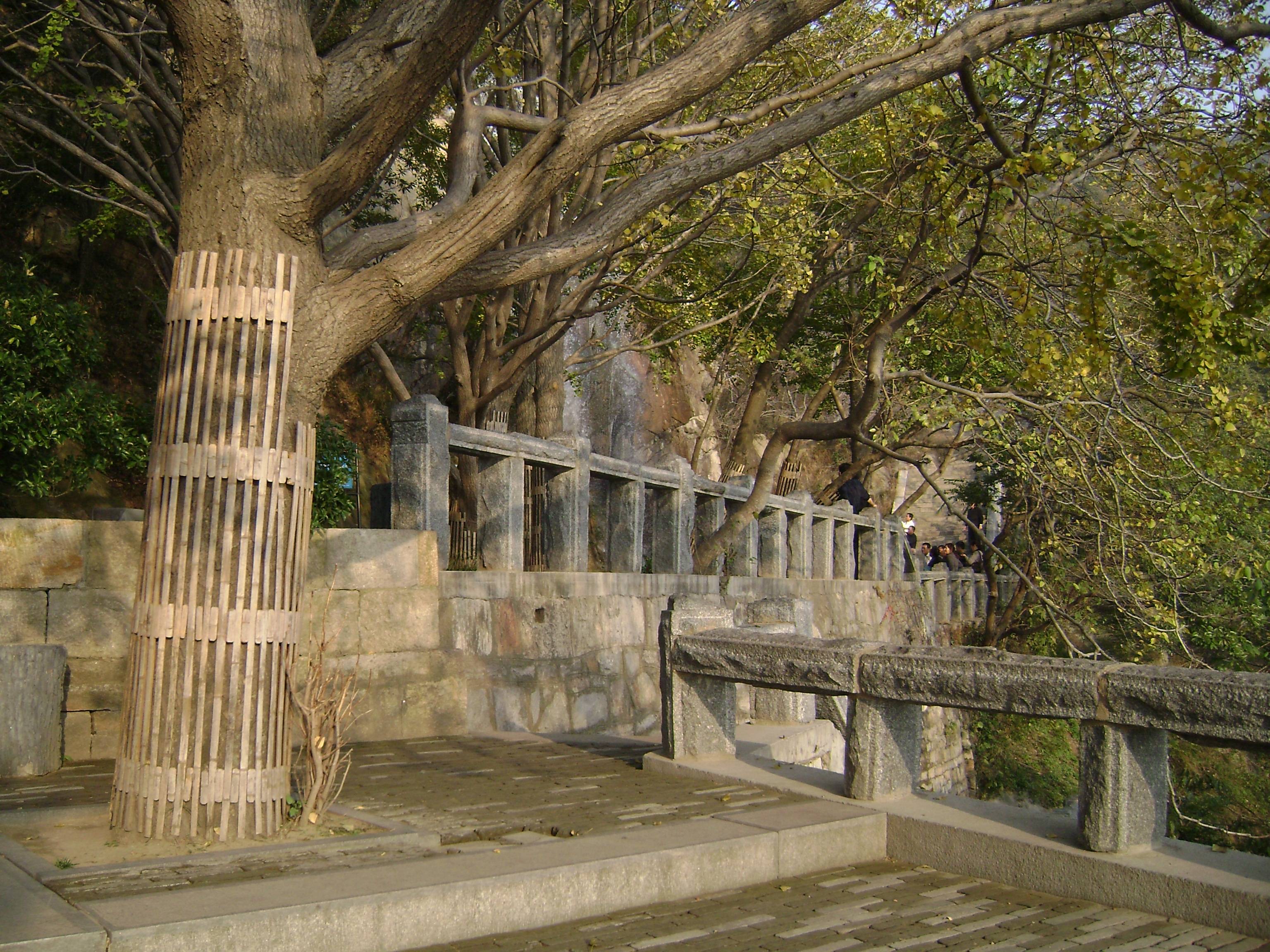 17:情缘神州(54)——阳台赏景——收拾行囊带着源儿回北京(2014年6月