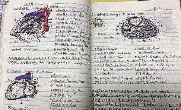 网络,前者笔记中每一个关节,每一个组织,每一根细胞都画得栩栩如生