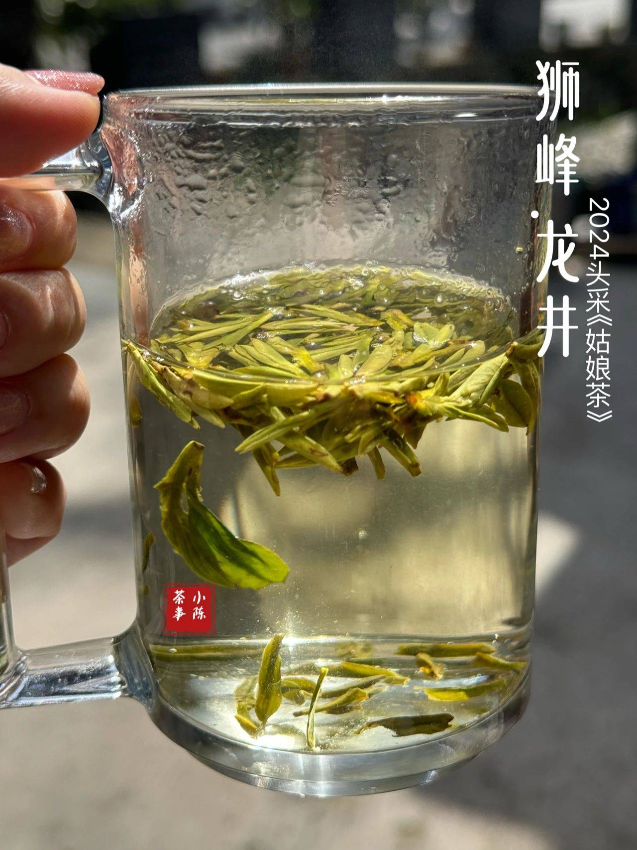 原创茶圈里明前茶到底是什么茶为什么明前茶普遍都很贵