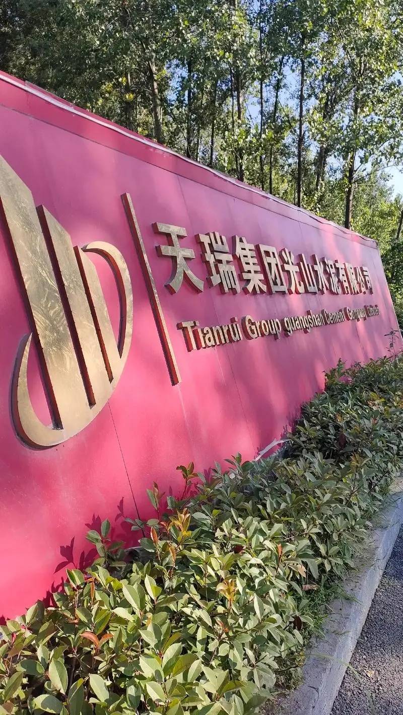 河南富豪李留法,如今坐拥275亿身家,还花巨资建了208米大佛像_水泥_天