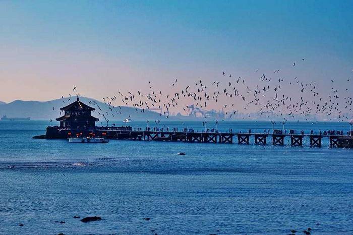 带家人跟团去青岛旅游五天需要多少钱青岛省钱攻略