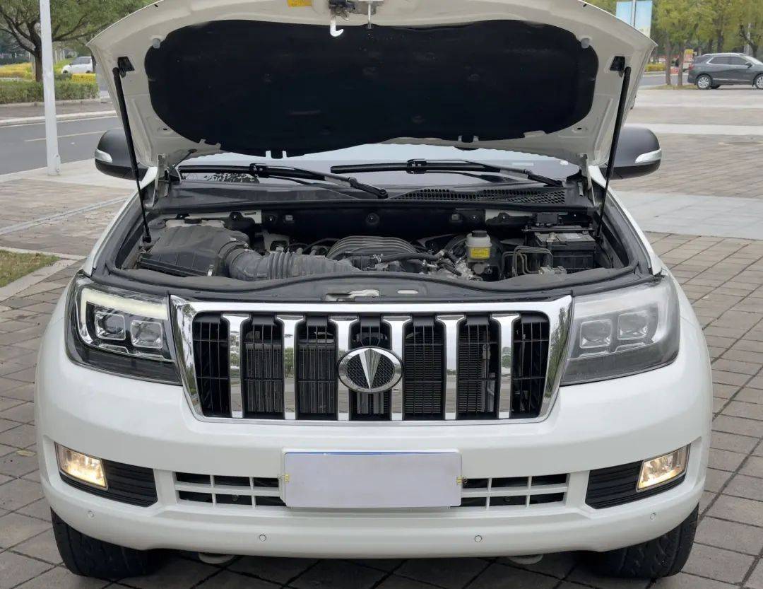 十几万国产"陆巡",4.6真v8  6at,没人认识_搜狐汽车_搜狐网