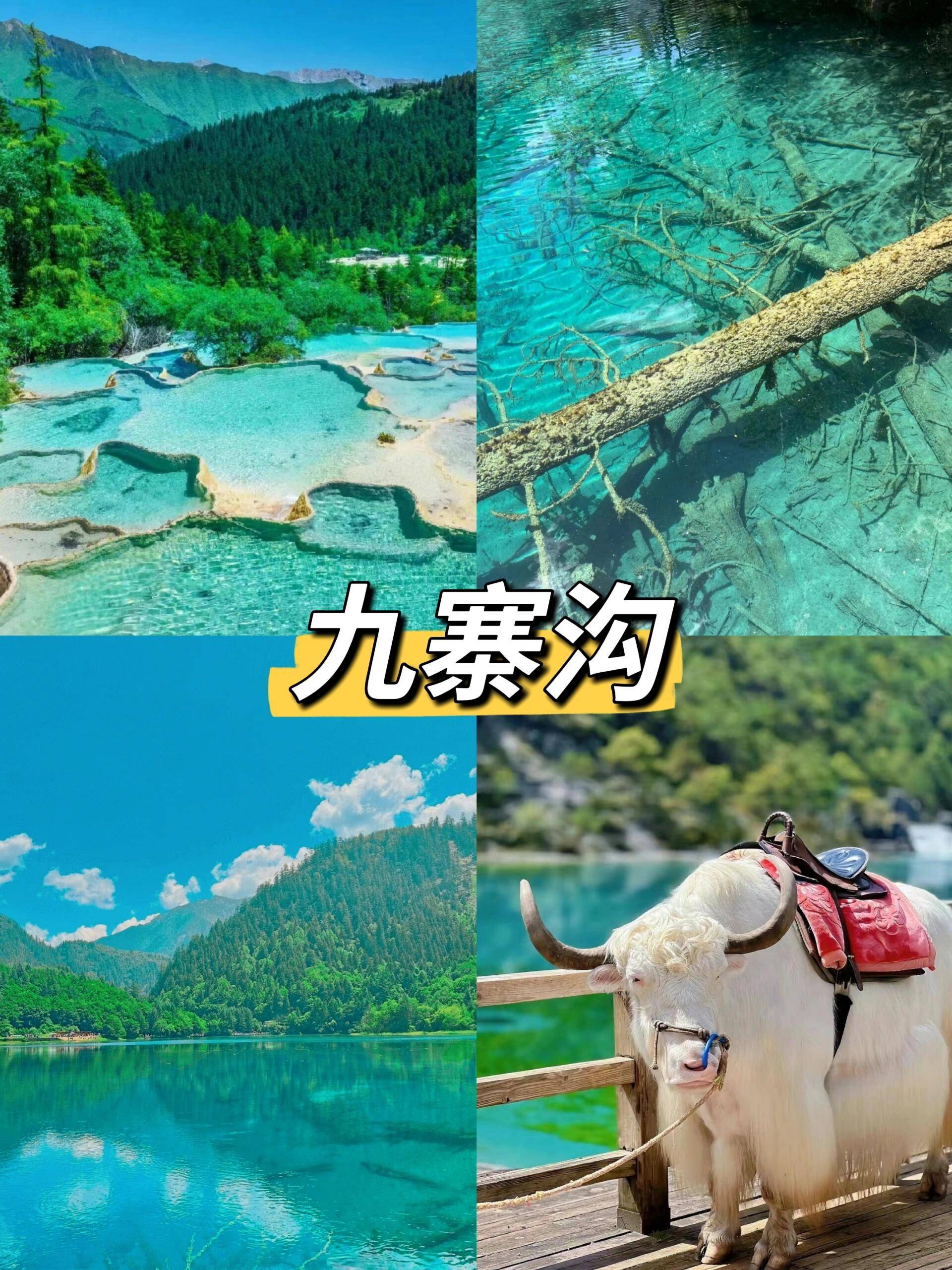去九寨沟旅游四天人均多少?请收藏