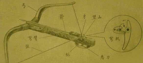 光看弩的造型就感觉没有弓箭那么有威慑力,不懂的人还以为弩箭,是弓箭