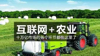 农村地区互联网普及率达到665有哪些推动因素