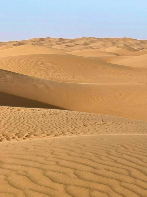 早上,您将前往鄂尔多斯著名的景点之一——响沙湾.