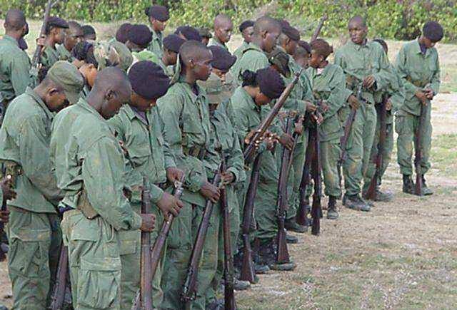 贾梅_美国_欧洲