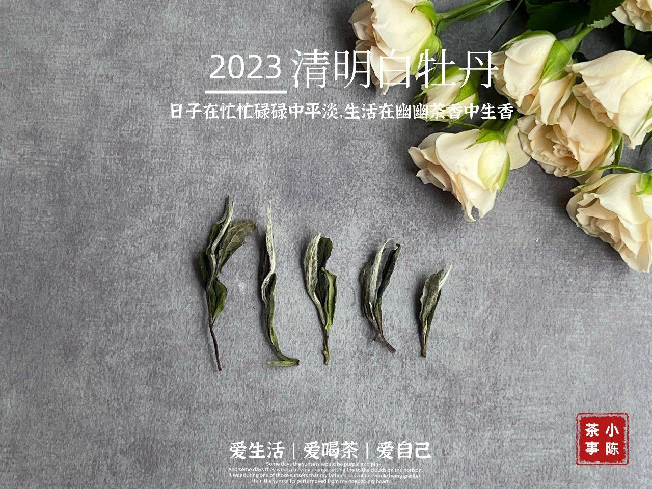 颜色怎么如此沧桑衰老?