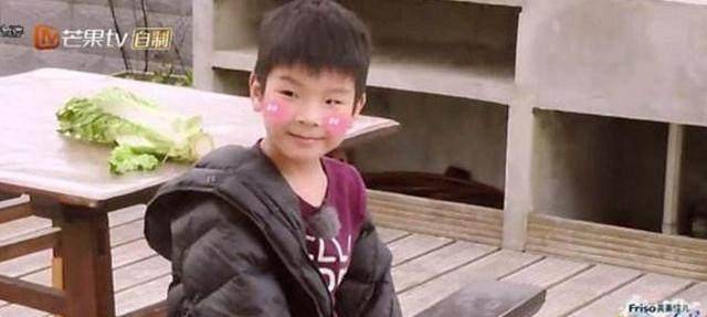 安迪_妈妈_杨子