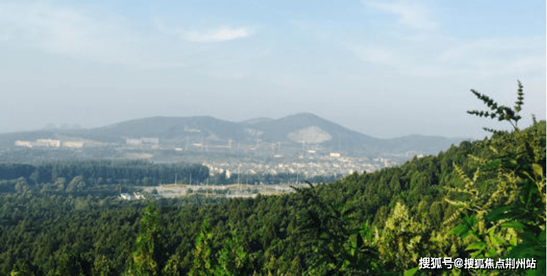 电话丨徐州梧桐公馆售楼中心丨楼盘百科丨24小时电话_生活_城市_山林