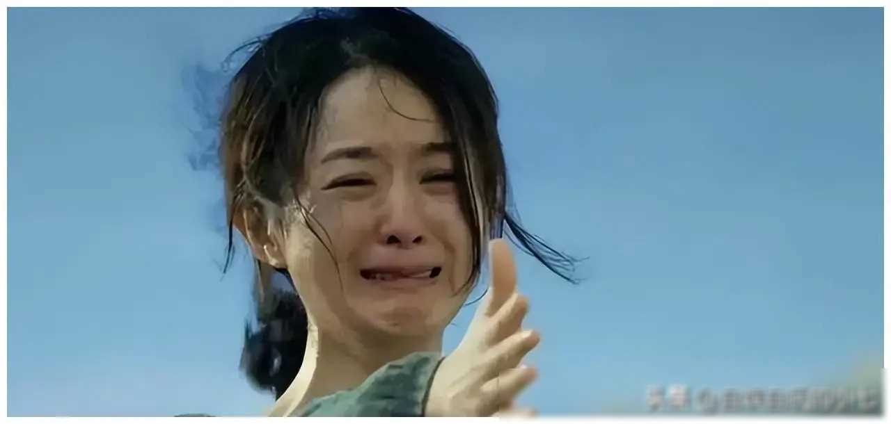从万众瞩目到大众群嘲赵丽颖的星途转变究竟为何