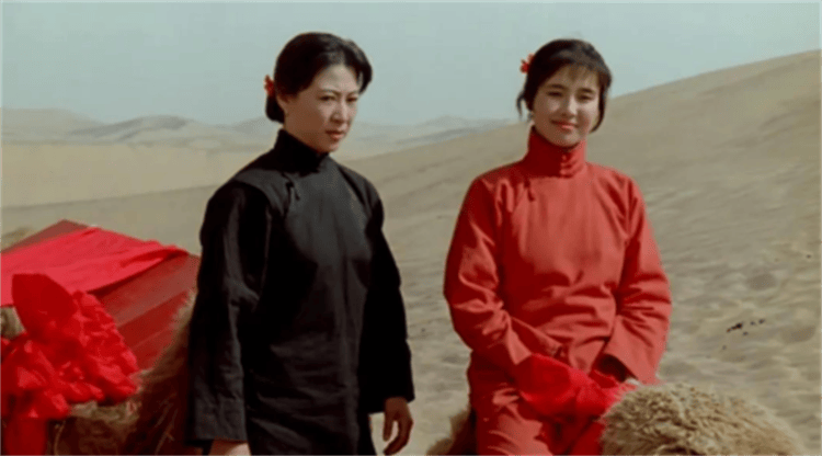 王澜也以为,自己会像巩俐一样,攻占大银幕,成为电影,电视双开花的代表