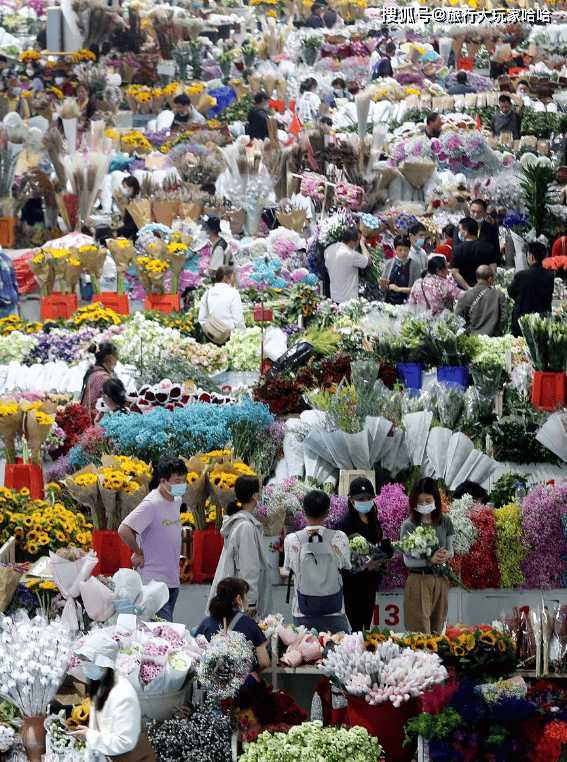 云南旅游自由行攻略推荐,六日游详细行程景点安排_昆明_丽江_前往