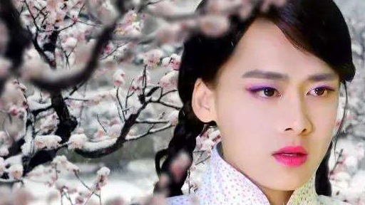 明朝伪娘大盗祸害182位姑娘怎样男扮女装才能不被发现