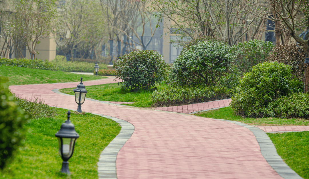 小区绿化在设计上追求心灵的自然回归,草坪,低矮灌木,高大乔木交错