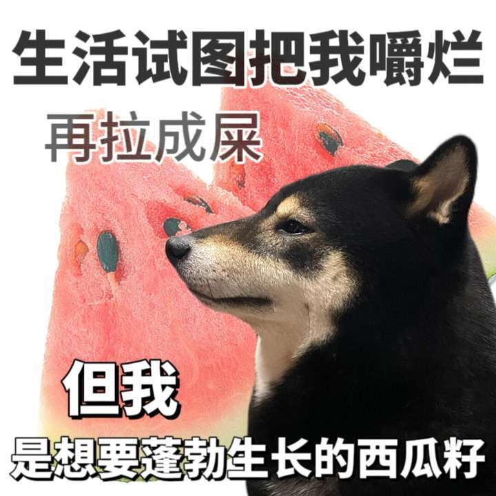 瑶一瑶gif表情包一次外向换来一辈子内向