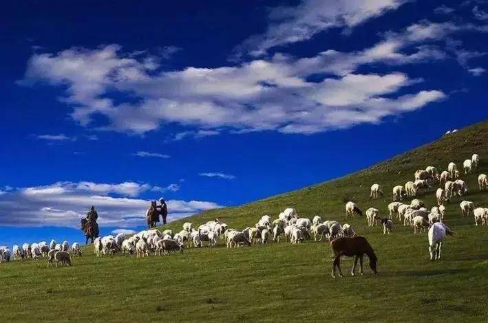 无边草原无边景扬鞭策马游新疆