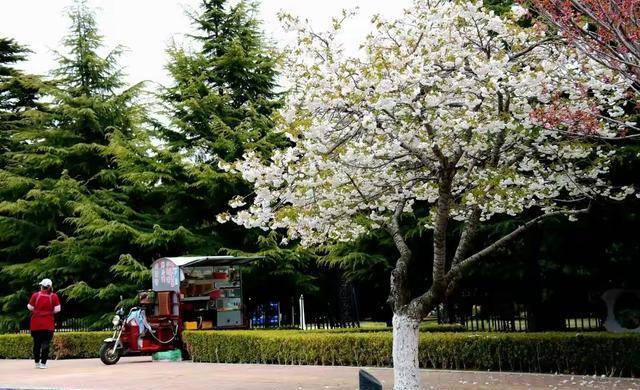 大连能够看到大船和海的地方并不只有这一处,在旅顺的世界和平公园旁