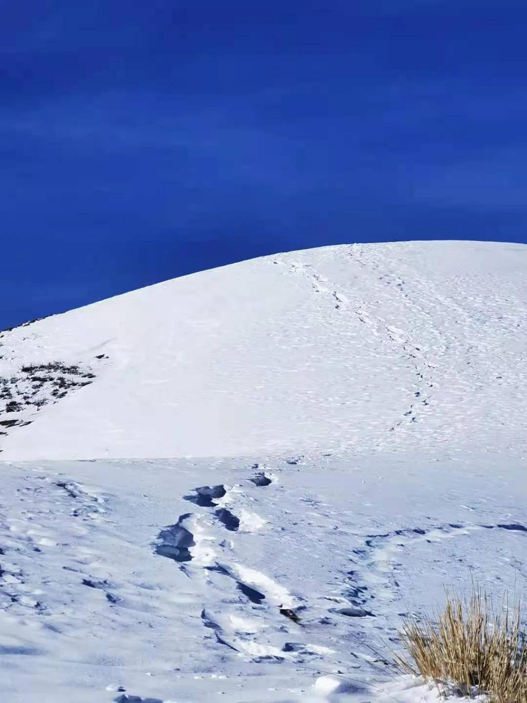 乌鲁木齐春节期间适合带上家人休闲自驾线路沙沟