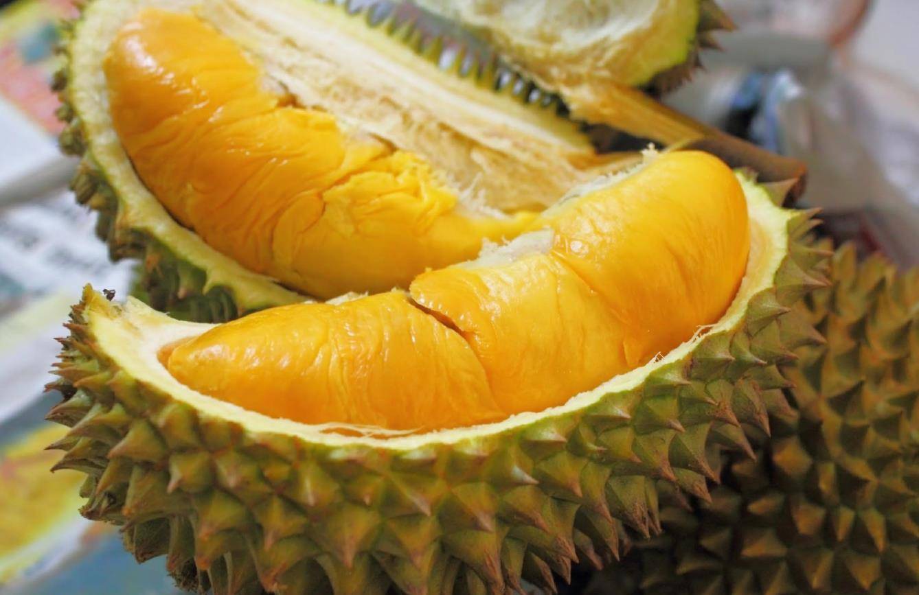 榴莲真的是水果之王吗揭开一段榴莲在欧洲的炒作史