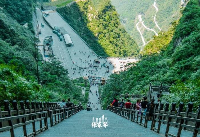 带800块到湖南张家界森林公园凤凰古城旅游能玩几天张家界四日游详细
