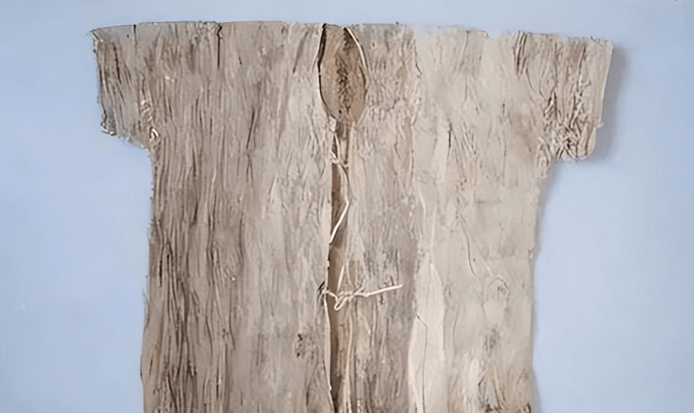 宋朝以前没棉花,古人穿纸衣,盖纸被,为何照样不受冻_中国人_皮纸_种植