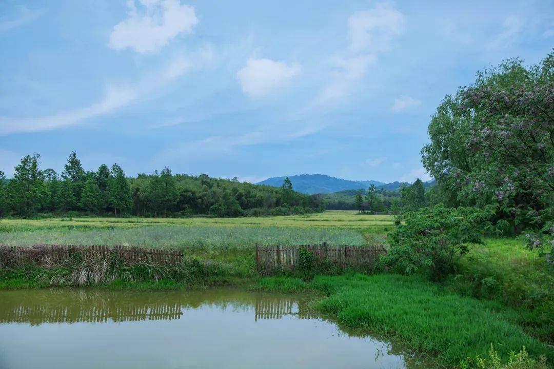 莫干溪谷景区图片