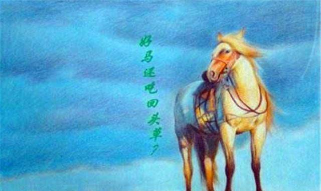 原创农村俗语老牛吃嫩草其实下一句才是精华说尽了人生哲理