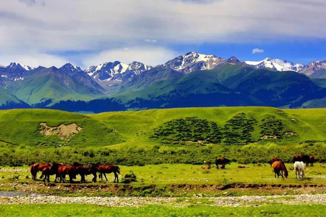 伊犁旅游有什么好看的