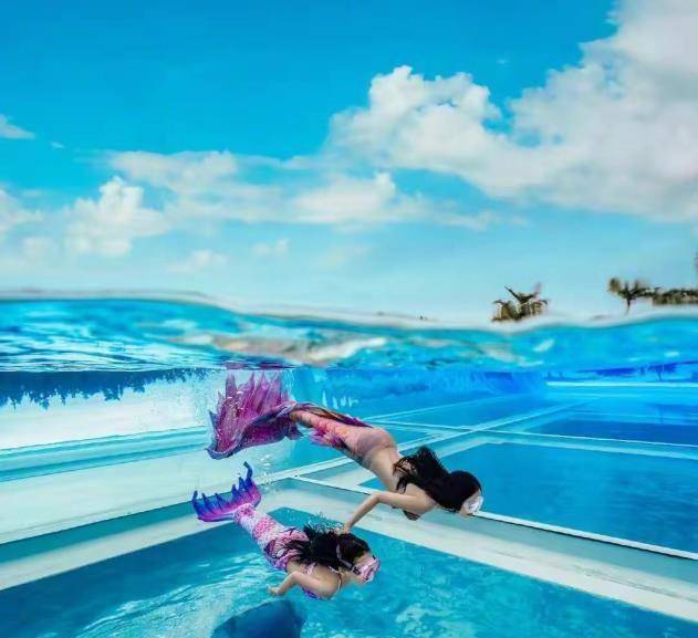 水中扮美人鱼,皮肤白皙身材曼妙,被摄影师夸气质好_董卿_游泳池_带着