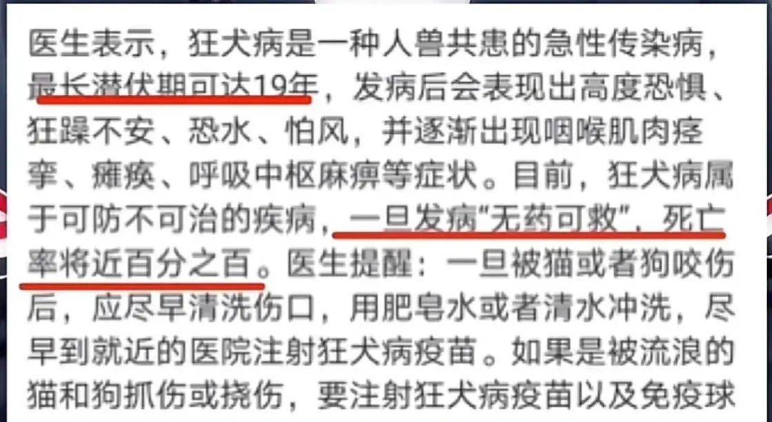 又一起！湖南恶犬疯狂撕咬小女孩致重伤，狗主人慌忙跪地道歉！
