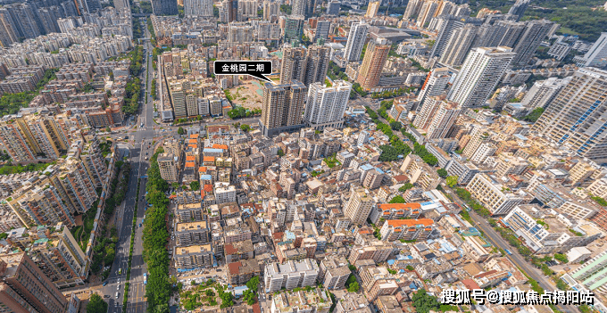 金桃园大厦二期南山金桃园大厦二期户型图最新价格