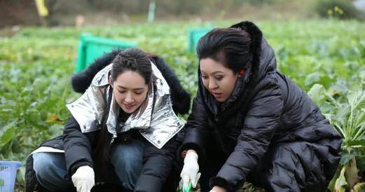 向佐前女友有哪些为什么向太最爱郭美女详情曝光