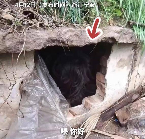 大爷晨练发现坟里有人，躺棺材里不肯出来？报警后结局亮了