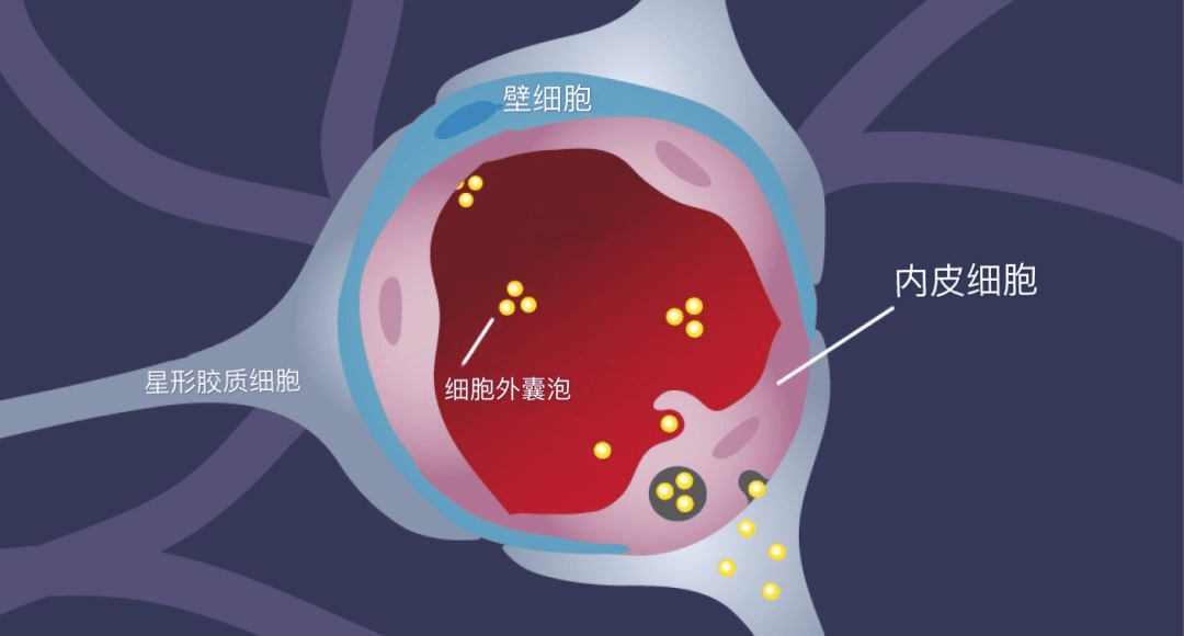 原创体检不做六个检查得了癌症都不知道这些部位最好定期检查一次