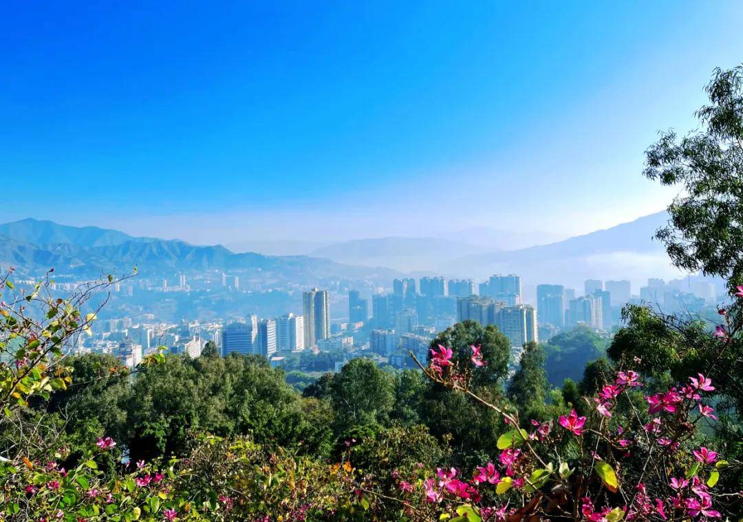 原创一周综述青岛史上最大地下城建在少海