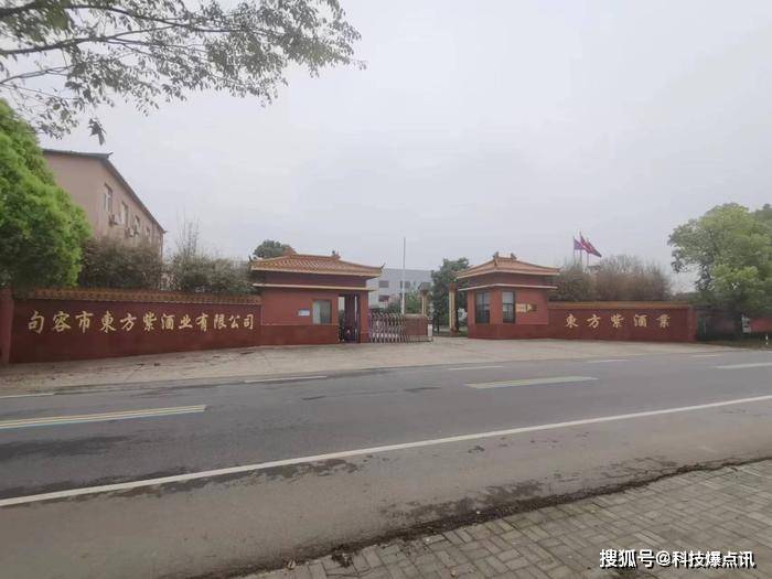 浙苏视点合肥影响力媒体一行考察句容东方紫酒业体验中国紫酒魅力