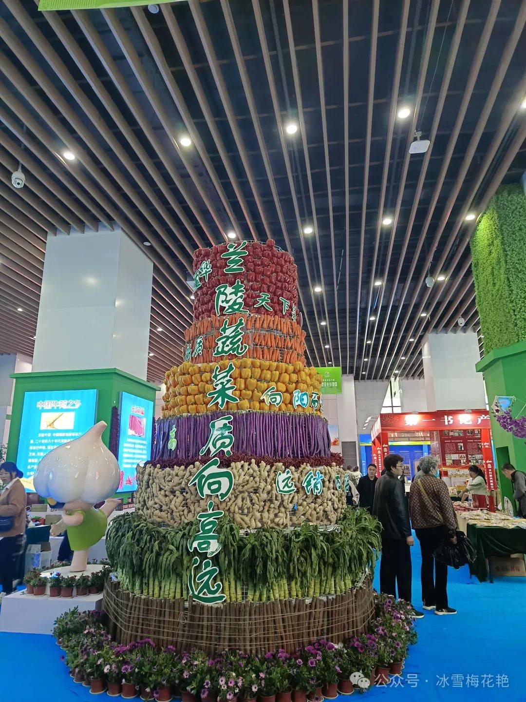 兰陵县菜博会又开始了