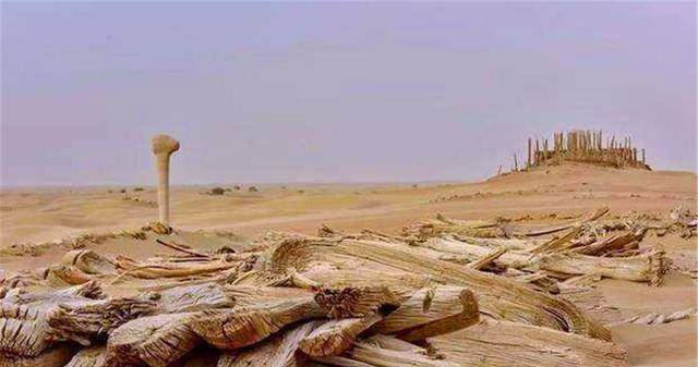 新疆罗布泊现古城遗址墓葬形式新颖奇特3个谜团困扰专家