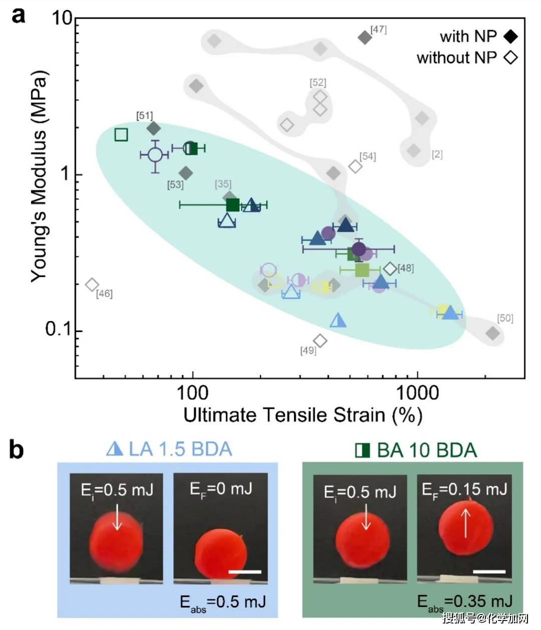 am3d打印具有局部变化机械性能的双网络颗粒弹性体
