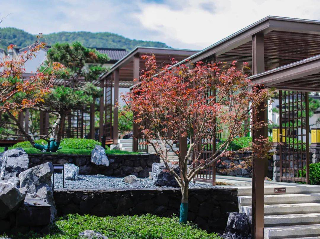 余姚阳明温泉小镇售楼处电话丨24小时电话丨售楼处地址丨阳明山居详情