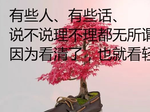 原创朋友圈早安优美的心情说说语录句句说到心坎上