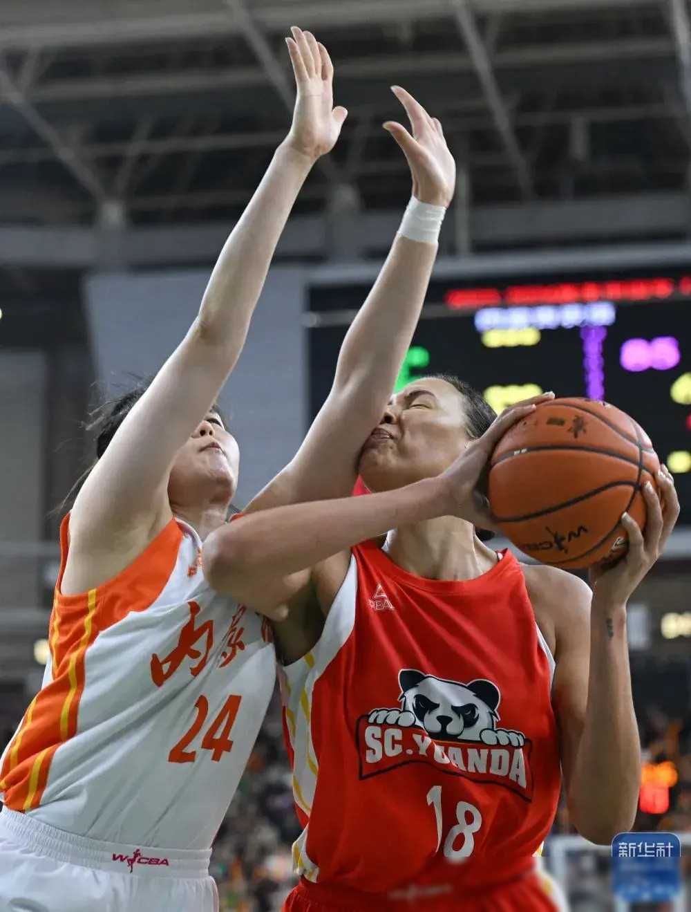 坎贝奇女子篮球界的奇才还是争议人物其魅力何在